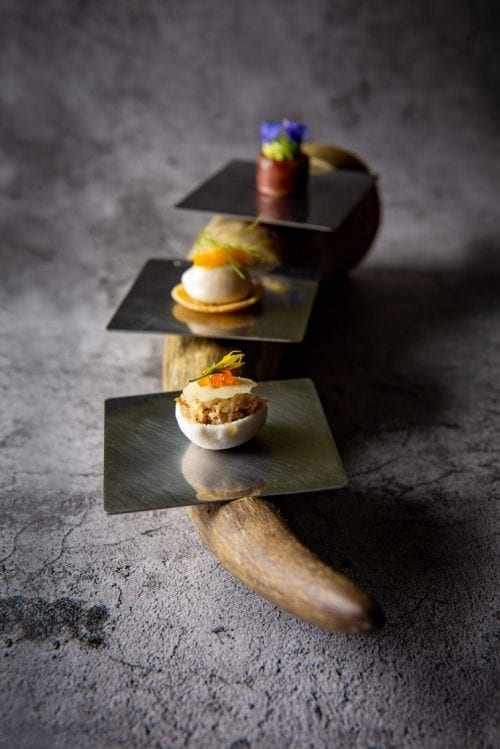 Amuses bouches en apéritif La corne d'Aubrac aux délices d'Espalion
