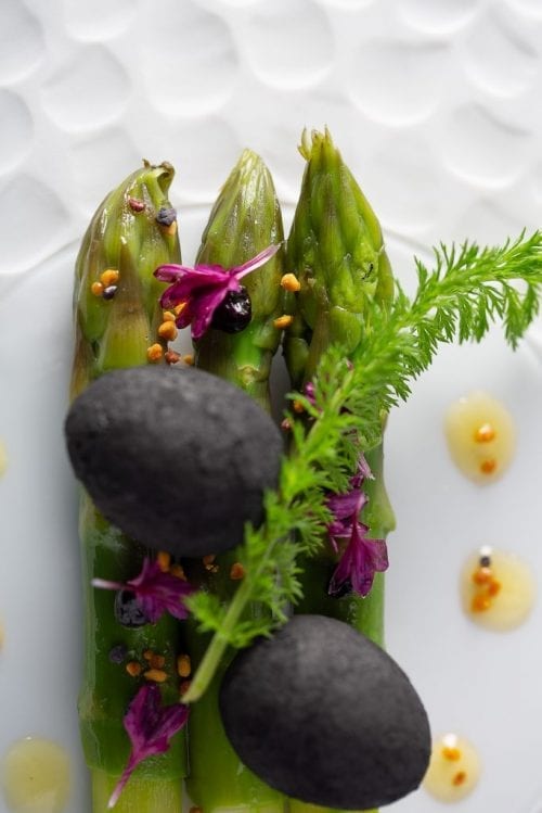 Les asperges fleuris du chef Zoom sur les asperges d'Aveyron